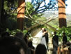Ceremony - 08.23.03